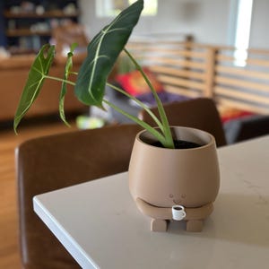Erin added a photo of their purchase
