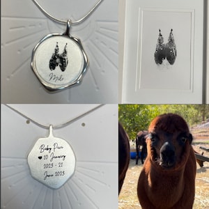 Jacinta added a photo of their purchase