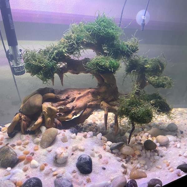 Bonsai Aquarium Aquascape Driftwood Bonzai Tree Decor Fish Tank ...