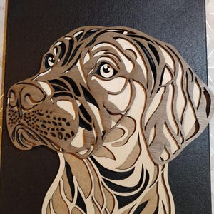 Gabor added a photo of their purchase