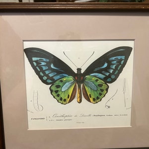 Michelle added a photo of their purchase