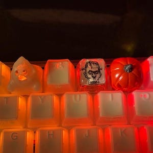 Paperback added a photo of their purchase