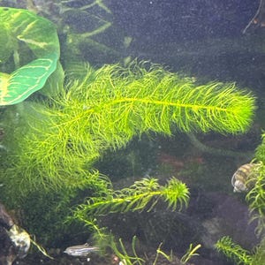 Mari ha añadido una foto de su compra