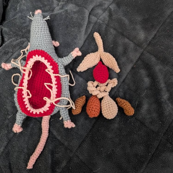 Digital Download Rat Dissection Crochet Pattern - Etsy