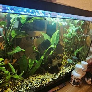 Mari added a photo of their purchase