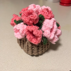 Emily さんが購入した商品の写真を追加しました