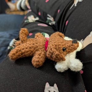 Ann added a photo of their purchase