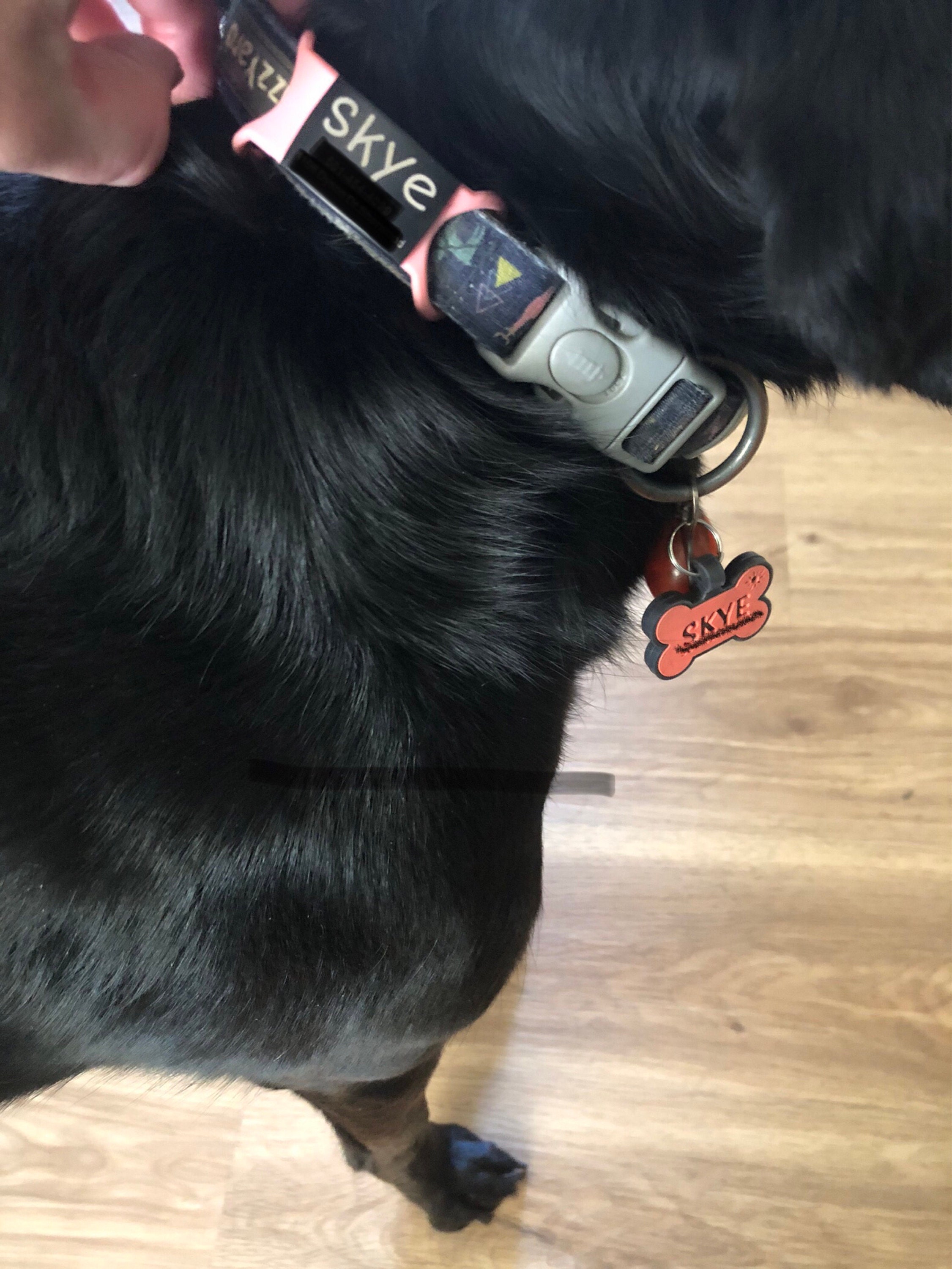 Custom Durable Slide Pet ID Tag🐶🐱,Personalized Name Silicone Dog Tag, Gift for Dog Owner