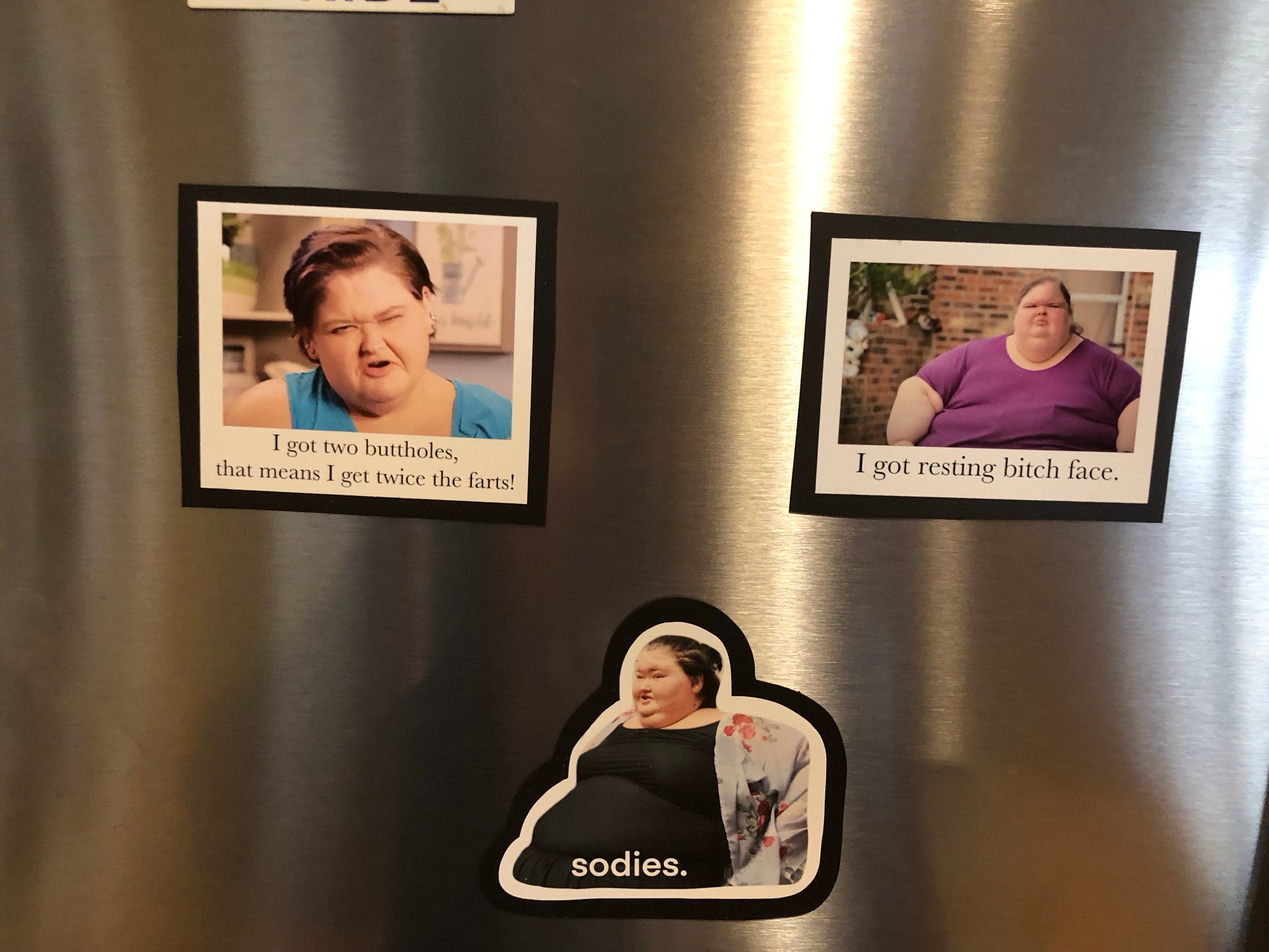 Amy Slaton magnet, 1000 lb sisters magnet, funny fridge magnet, sodies, TLC show, 1000 pound sisters, my 600 pound life, my bills are paid