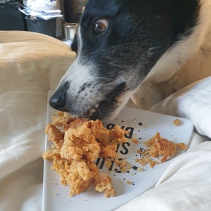 can dogs eat custard creams