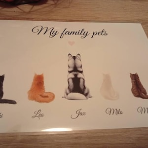 Touzé added a photo of their purchase