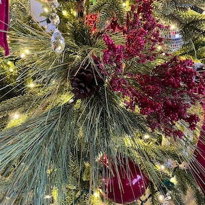 Brenda さんが購入した商品の写真を追加しました