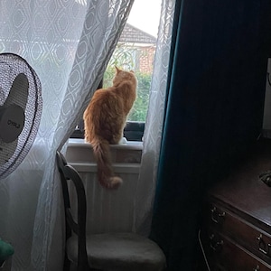 Zarich added a photo of their purchase