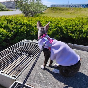 Kristbjörg added a photo of their purchase