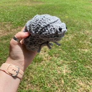 Crochet Roll-up Isopod Pattern - Etsy