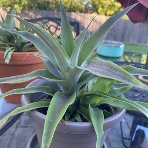Jeff added a photo of their purchase