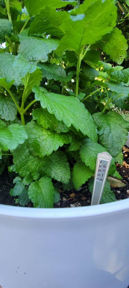 Handmade garden marker Set of 5 Herb marker Vintage upcycled Christmas Garden stakes Spring gift basket Mother’s Day gifts for her Plants