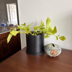 Erika added a photo of their purchase