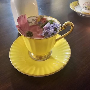 Naomi added a photo of their purchase