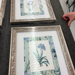 Vintage Bird and Botanical Collage Print Set No. 11, Vintage Botanical ...