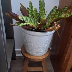 Yasmin added a photo of their purchase