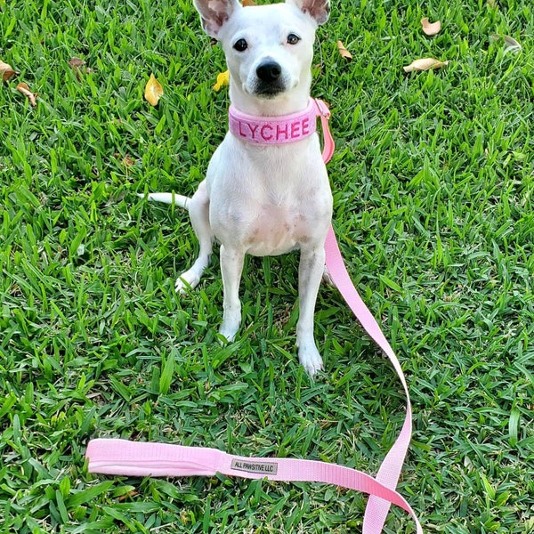 Custom Ribbon Display, Dog Award Ribbon Display Rack, Dog Rosette ...