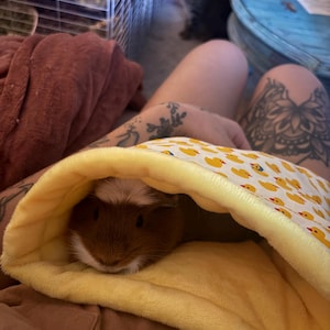 Stephanie added a photo of their purchase