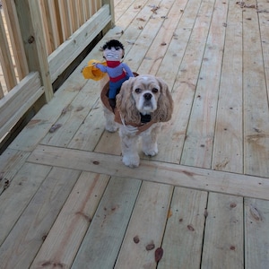 Teresa added a photo of their purchase