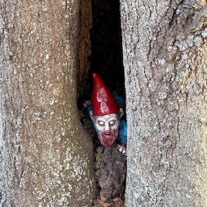 Tom added a photo of their purchase