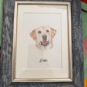 Shannon added a photo of their purchase