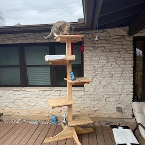 Val added a photo of their purchase