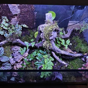 Edgar a ajouté une photo de son achat