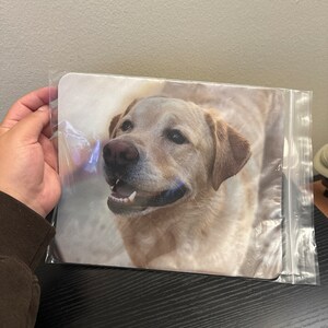 Tatiana added a photo of their purchase