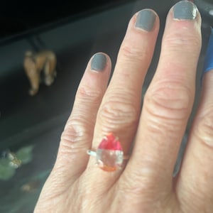 David added a photo of their purchase