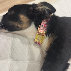 Marla added a photo of their purchase