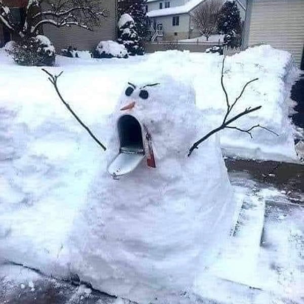 Cat Butt Ornament / 2024 Funny Christmas Ornament / Laser Cut Wooden