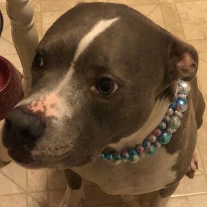 Tracy added a photo of their purchase