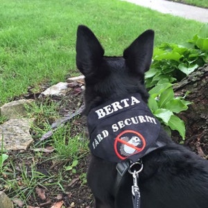 Sandra added a photo of their purchase