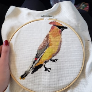 Shelby added a photo of their purchase