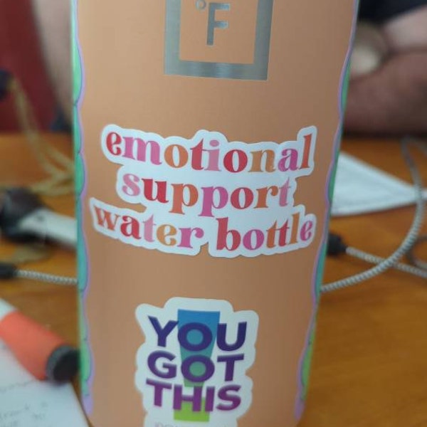 Emotional Support Water Bottle Sticker / Mental Health Sticker / Funny ...
