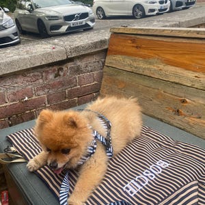 amber added a photo of their purchase
