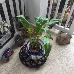 Ellen added a photo of their purchase