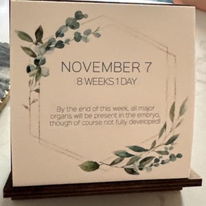 D added a photo of their purchase