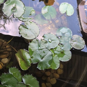 Jennifer ha añadido una foto de su compra