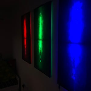 Daniel added a photo of their purchase