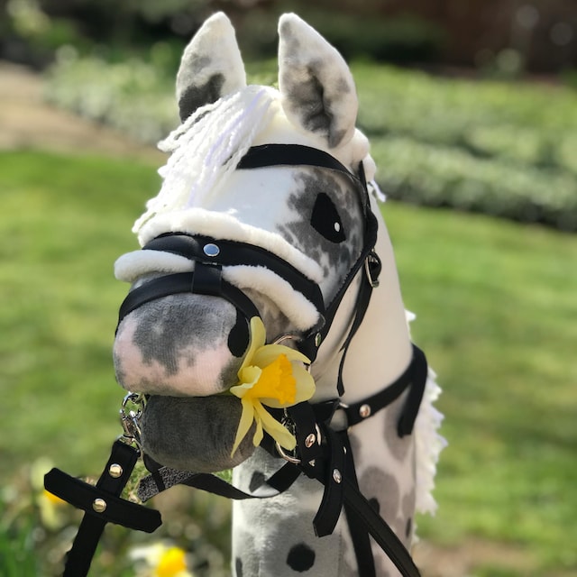 ❗️いまだけSALE❗️HARPO⭐︎horse broach A3 BIG Size Hobby Horse BLACK Premium With Bridle, and Bit