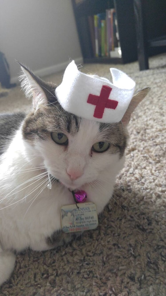 Customer photo of a pet with the Nurse retro hat for small pet Cat Dog Hedgehog