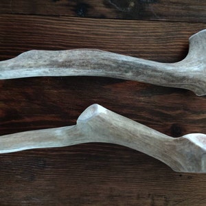 elk antlers for dogs break teeth elk antlers for dogs break teeth