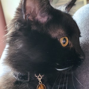 Lindsey さんが購入した商品の写真を追加しました