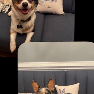 Laurie added a photo of their purchase